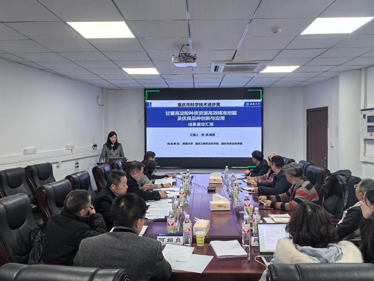 会议室里的人们描述已自动生成